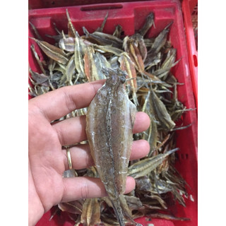Cá chai khô.500g