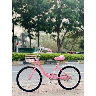 Xe đạp 1 khung xaming cao cấp 18, 20 inch