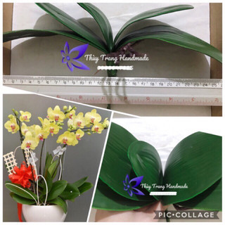 1 cụm lá lan hồ điệp cao su (hàng xịn, có 4 size) trang trí chậu hoa voan, hoa giấy