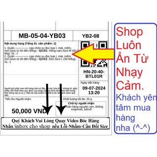 Quần lót ghen bụng cạp cao lụa mềm - 𝐆𝐁𝟎𝟐