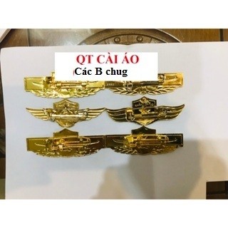 Huy Hiệu ngực áo bảo vệ các loại quyết thắng