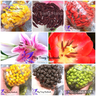 (100 cái/ gói) NHỊ, NHUỴ HOA LY, HOA TULIP, HOA PHƯỢNG