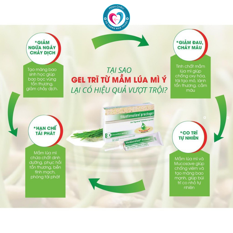 Fitostimoline Proctogel - Gel bôi trĩ nội ngoại từ mầm lúa mì Ý - Tuýp 10g, 35g [NHẬP KHẨU CHÍNH HÃNG]