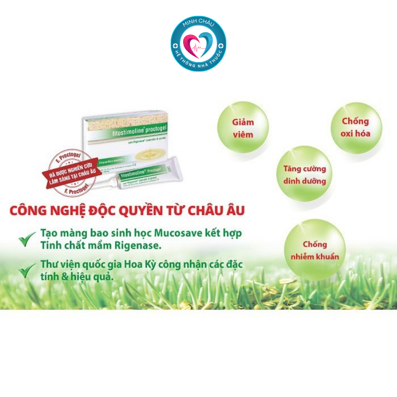 Fitostimoline Proctogel - Gel bôi trĩ nội ngoại từ mầm lúa mì Ý - Tuýp 10g, 35g [NHẬP KHẨU CHÍNH HÃNG]