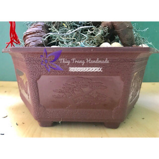 Chậu nhựa lục giác (có màu nâu, trắng, đỏ) để trồng cây bonsai