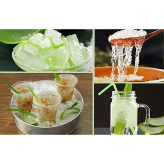 Mủ trôm phan rang loại 1.500g