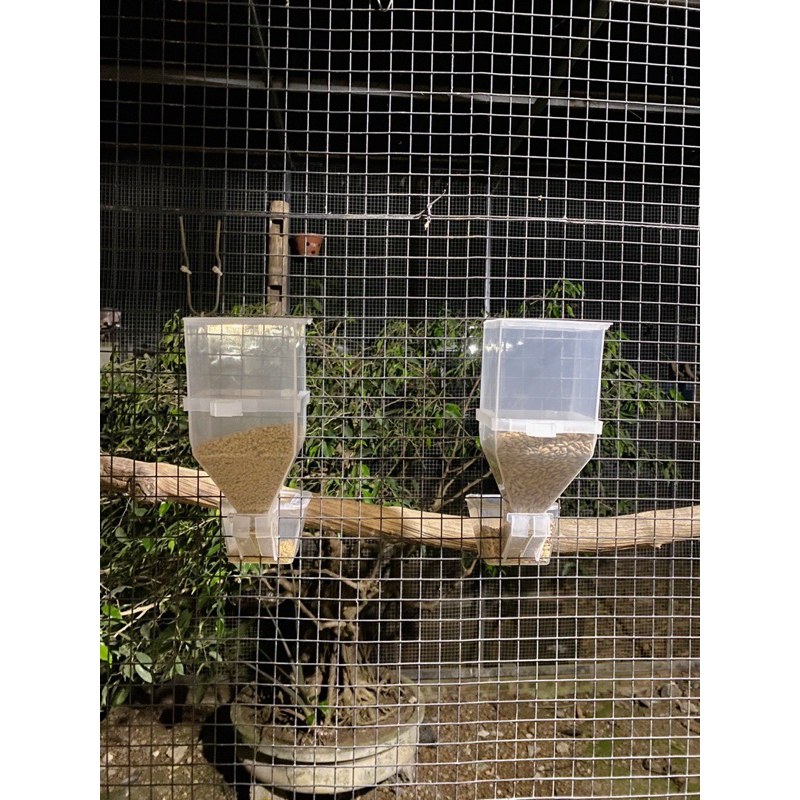 [ RẺ VÔ ĐỊCH ]  MÁNG NHỰA TRONG   chứa 500gr _ thức ăn  hũ  chống vãi  thức ăn cho chim cu gáy.chào mào .hoạ mi ;khướu,,