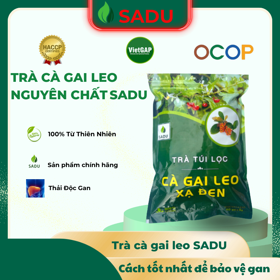 Trà túi lọc cà gai leo xạ đen Sadu (Gói 250g- 1kg) tăng sức đề kháng, thanh nhiệt cho cơ thể, tăng cường chức năng gan