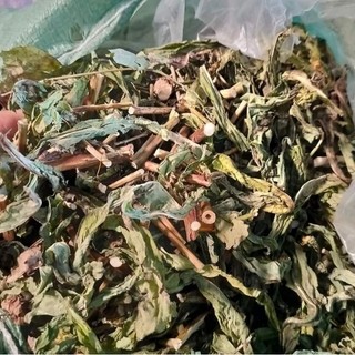 1Kg Trà Bồ Công Anh sấy khô giúp thanh nhiệt, lợi sữa