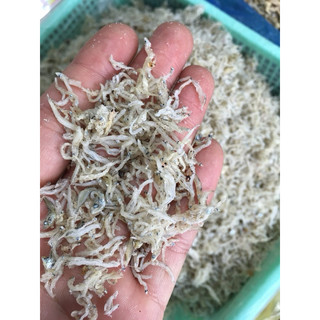 Cá cơm sữa.500g