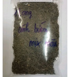  1 Lạng 100gr hạt giống hoa sao nhái  cánh bướm nhiều màu   đỏ Hồng Trắng sọc viền.. . Tỉ lệ nãy mầm cao dể trồng 