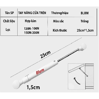 Tay nâng thủy lực (Piston) Blum