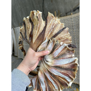 Cá đuối đen loại 500g