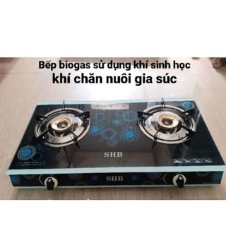 Bếp bioga đôi mặt kính, chén đồng