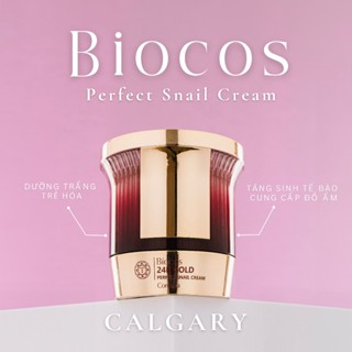 Kem Dưỡng Ẩm Tái Tạo Da BIOCOS 24K Gold Perfect Snail Cream – Chiết Xuất Ốc Sên Vàng – Làm Mịn & Sáng Da - Hỗ trợ làm ch
