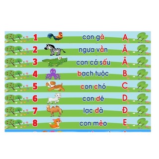 Decal dán bậc cầu thang Số và Chữ Cái tiếng Việt