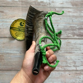 Tù Và Sừng Trâu Thô