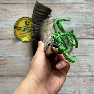 Tù Và Sừng Trâu Thô