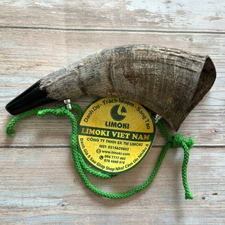 Tù Và Sừng Trâu Thô
