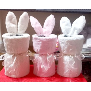 Cốt tai thỏ cắm hoa sáp hoa nhũ