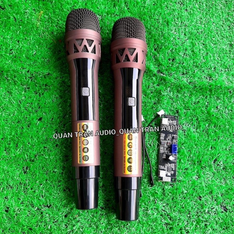Micro Loa Kéo Q36 không dây, Sét tần số