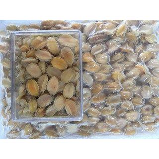100g bào ngư tự nhiên hàng loại 1.