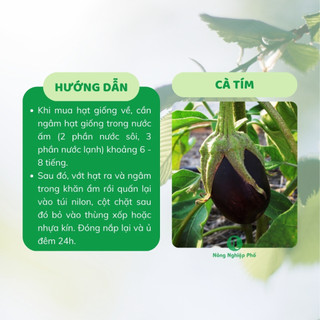 Hạt giống cà tím Phú Nông - Gói 0.2 gram - Nông Nghiệp Phố