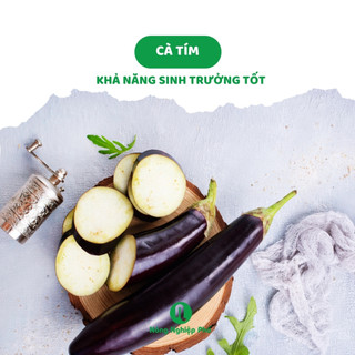 Hạt giống cà tím Phú Nông - Gói 0.2 gram - Nông Nghiệp Phố