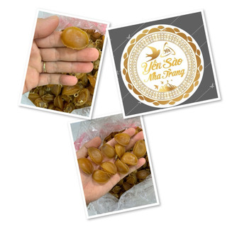 bào ngư lớn xuất khẩu (size 15 con  100g)