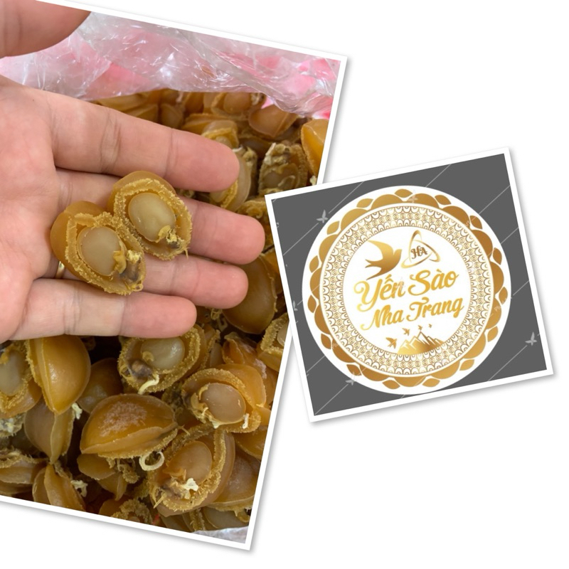 bào ngư lớn xuất khẩu (size 15 con  100g)