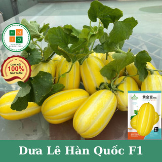 Hạt giống dưa lê Hàn Quốc siêu ngọt F1