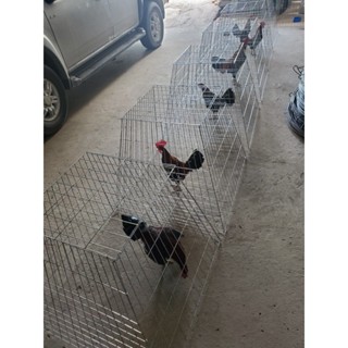 BỘI VUÔNG ,BỘI THÁP GÀ NÒI Kich Thướt  rộng 80 cao 1m VÀ rông 80 cao 60