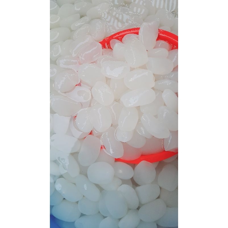 Hạt đác tươi Combo 5kg size lớn lựa dẻo vừa ăn