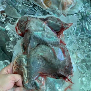 Gà ác (chỉ giao hoả tốc