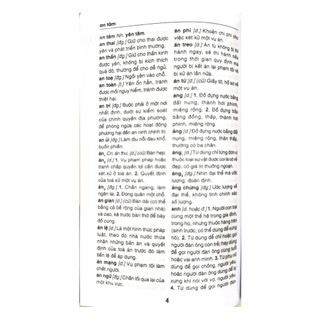 Sách - Từ Điển Tiếng Việt (Tái Bản 2024) - VLB