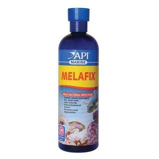 Api melafix marine 473ml - dung dịch kháng nấm và khuẩn hại cho cá cảnh