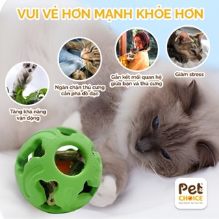 Bóng banh cao su có cỏ mèo và chuông cho chó mèo, bóng đồ chơi cao su cho thú cưng