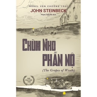 Sách - Chùm Nho Phẫn Nộ