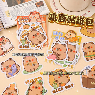 Set 30 Tấm Sticker Rời Capybara Dễ Thương