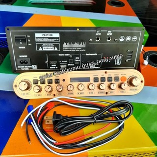 Mạch loa kéo xách tay k10 chống hú mới_100w 2 kênh có reverb