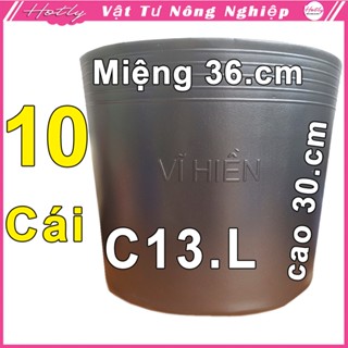 10 Chậu nhựa VĨ HIỀN C13 Lớn miệng,cao 36x30cm trồng cây ăn trái và hoa siêu bền--77116