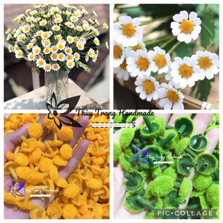 Gói 20 nhị, nhuỵ hoa cúc kích thước 1.5 cm