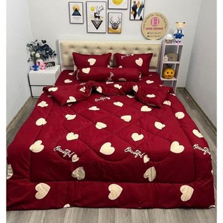 Bộ Chăn Phao 5 Món Ga Gối Poly loại 1 Chăn Bông Như Hình [Loại Bông Dày]