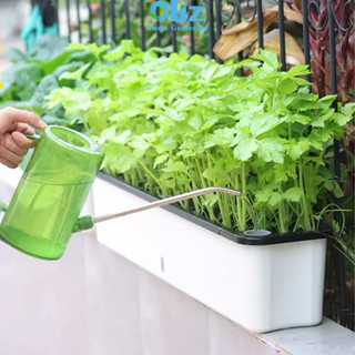 Chậu trồng rau tự tưới Oliz D210 chậu trồng cây thông minh có chức năng tự hút nước cho cây