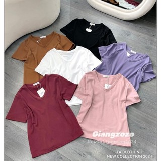 Áo thun cổ tim trơn hàng QC
