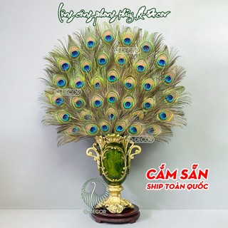 Bình lông công CẮM SẴN, mã bình BXL, Chất liệu bằng nhựa Composite