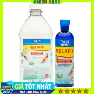 Xử lý nấm ký sinh trùng API - Pond Melafix an toàn, hiệu quả cho cá Koi và cá cảnh thủy sinh