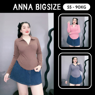 Áo thun polo dài tay bigsize cổ bẻ / áo thun dài tay cổ bẻ bigsize chất gân tăm