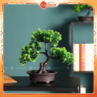 Chậu Cây Tùng Giả, Chậu Cây Tùng La Hán Bonsai, Chậu Cây Cảnh Để Bàn Nai Decor Trang Trí Nhà Cửa, Phụ Kiện Chụp Ảnh
