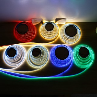 (Giá cuộn 5m) LED dây 12V 2835 SMD 120 LED/m - Trắng, Vàng, Trung tính, Đỏ, Lá, Dương, Hồng, Băng